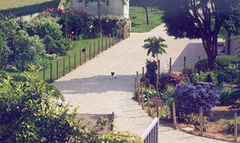 Parc de la pension pour chiens et chats en Île de France