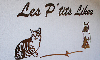 Pension pour chats Les P'tits Lihou